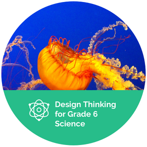 Design Thinking for Grade 6 Science